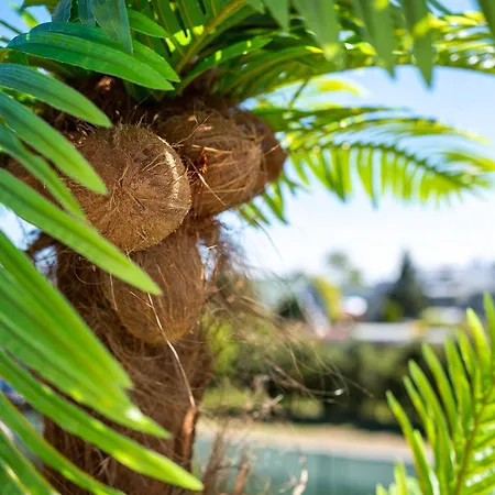 公寓 Bellamaya - Kapitanska 8