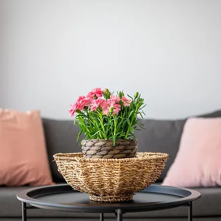 Apartman Bellamaya - Kapitanska 8 *